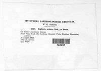 Image Associated With the Occurence